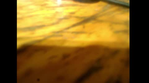 Snapshot of bzxxbzh chatting on February 15, 4:14 pm bzxxbzh online show from February 15, 4:14 pm