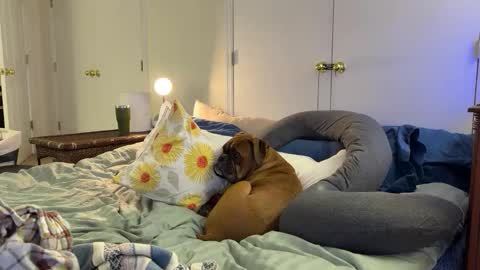 c2cmee online show from March 9, 4:38 am