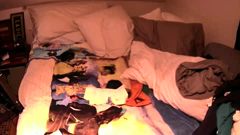 c547409 online show from October 2, 4:36 pm