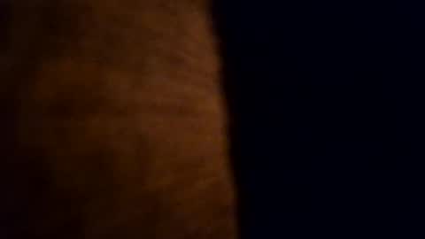 cabox online show from November 5, 9:48 pm