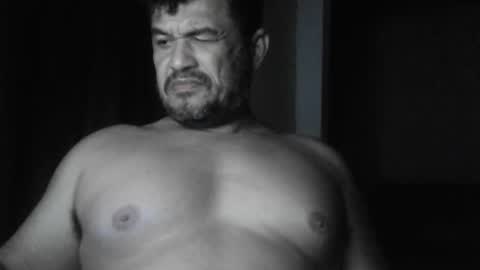 cafinfi1 online show from February 20, 2:41 am