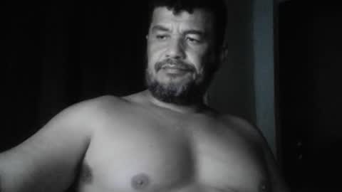 cafinfi1 online show from April 21, 2:04 am