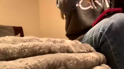 calishop1 online show from December 11, 1:58 am