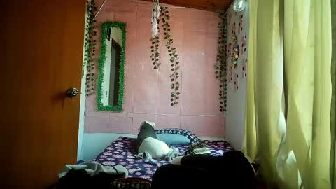 paula online show from April 20, 9:16 pm