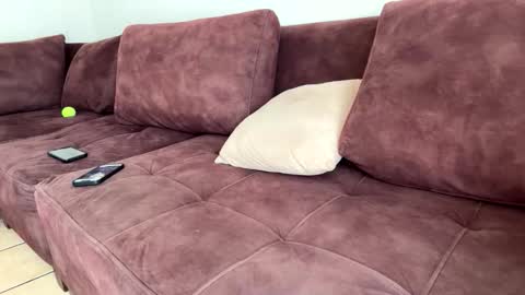 My name is Robert  Dont be shysay hi I love to chat. For requests or dirty talk please use tips  online show from February 20, 6:19 pm