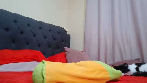 Snapshot of camilabrown23 chatting on February 9, 9:26 am Camila Browm online show from February 9, 9:26 am