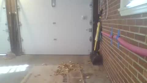 cammyman6900 online show from November 13, 4:28 pm