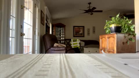 Snapshot of camperjay chatting on January 30, 9:25 pm james online show from January 30, 9:25 pm