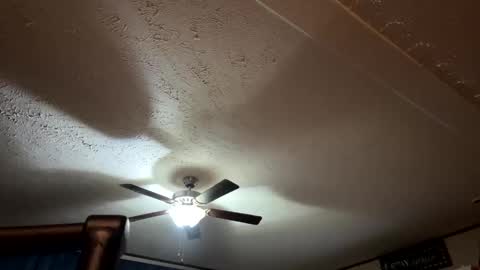 candicewlahna online show from September 12, 7:41 am