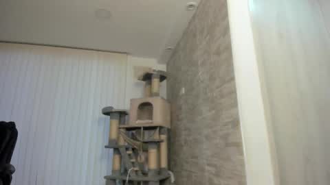 candy_queen81 online show from November 15, 11:07 am