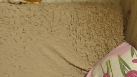 say meow and send tip  online show from December 18, 6:14 pm