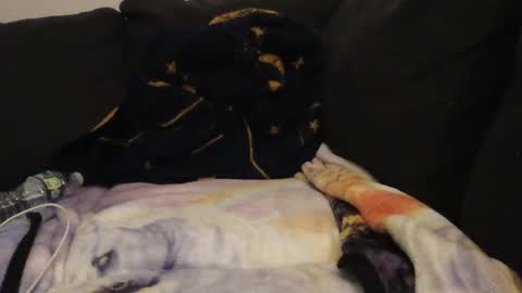 Snapshot of cannakams chatting on September 14, 2:22 am online show from September 14, 2:22 am