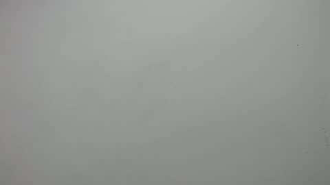 carla online show from February 19, 3:05 pm