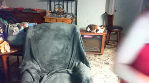 Snapshot of carleyquinn42183 chatting on December 2, 3:47 am Carley online show from December 2, 3:47 am