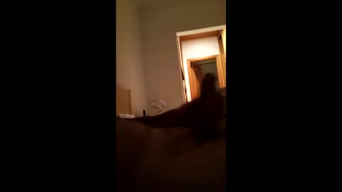 carlos1234500 online show from January 16, 7:12 am