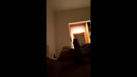 carlos1234500 online show from January 17, 7:13 am