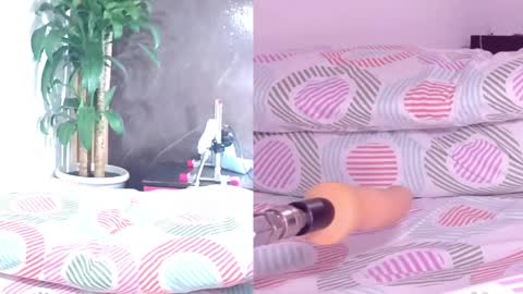 Carol online show from April 10, 11:04 am