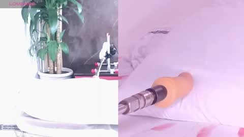 Carol online show from April 16, 11:11 am