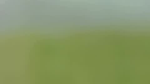 Caro online show from September 24, 1:53 am