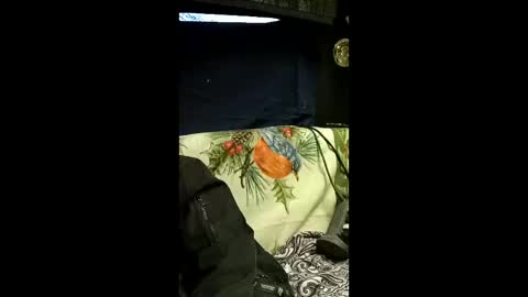 carrilloeverardo219 online show from March 28, 12:54 am