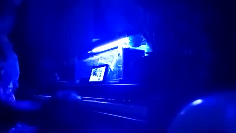 cassandra1369 online show from September 25, 12:03 am