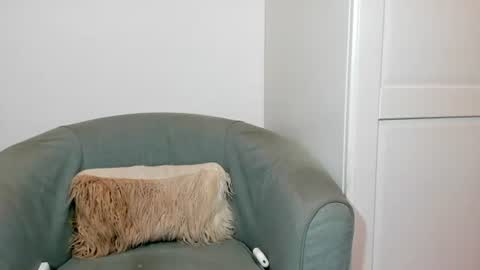 cassiecute - onlyfans account online show from July 4, 6:03 pm