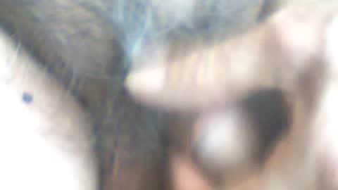 Snapshot of castells chatting on June 14, 4:31 pm castells online show from June 14, 4:31 pm