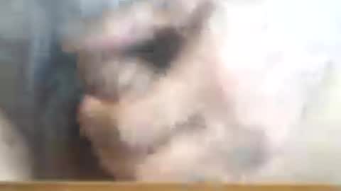 Snapshot of castells chatting on June 16, 3:25 pm castells online show from June 16, 3:25 pm