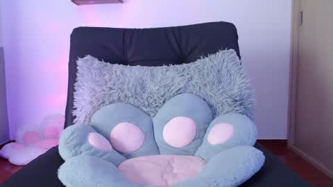 cat online show from January 28, 10:12 pm