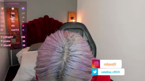 Catalina online show from January 31, 4:27 pm