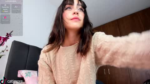 Catimore online show from January 6, 4:23 pm