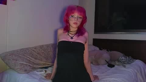 Cat online show from November 14, 2:32 am