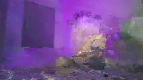 cazrus online show from February 24, 2:48 pm