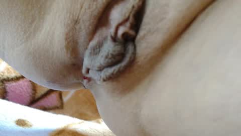 ANNYANNY online show from March 4, 3:40 pm