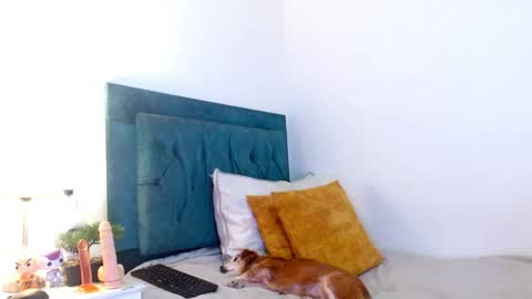 Cedrixx10 online show from February 11, 8:58 pm