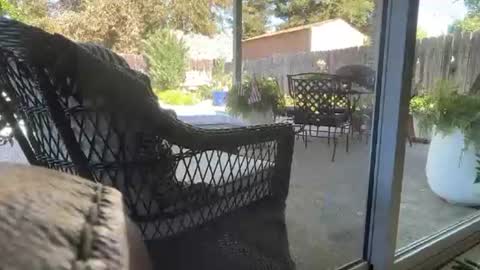 Ceeingu online show from July 15, 11:54 pm