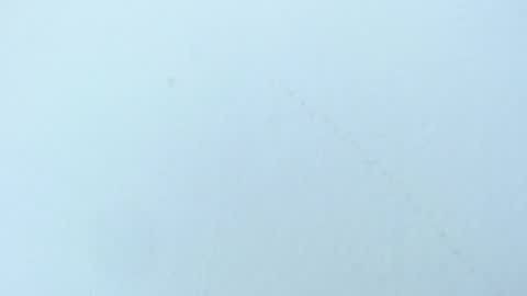 Snapshot of celiani_caleb chatting on November 3, 3:08 am celiani_caleb online show from November 3, 3:08 am