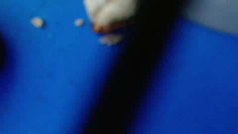 Snapshot of cguffey2284 chatting on March 7, 4:24 am cguffey2284 online show from March 7, 4:24 am