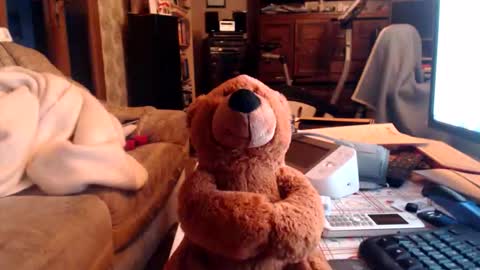 Snapshot of chacoa chatting on February 16, 4:36 pm chacoa online show from February 16, 4:36 pm