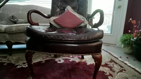 chad online show from December 3, 7:11 pm