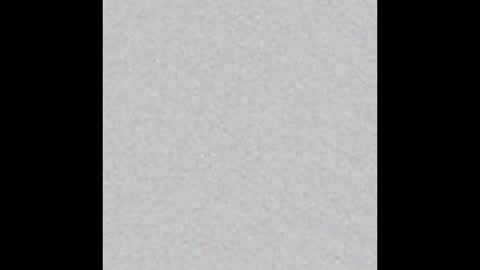 Charlotte online show from January 9, 3:23 pm