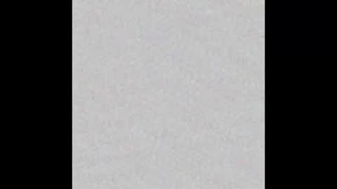 Charlotte online show from February 13, 3:46 pm