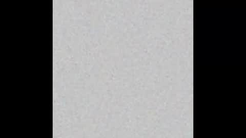 Charlotte online show from February 14, 2:12 pm