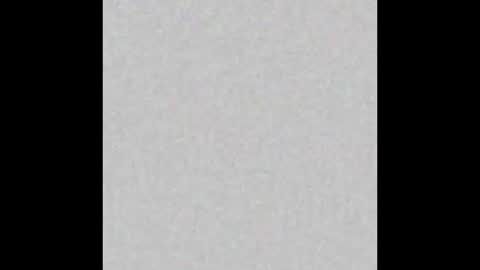 Charlotte online show from March 5, 4:13 pm