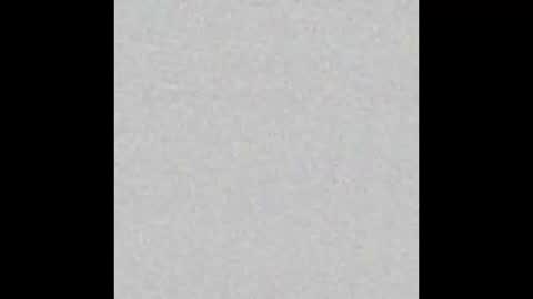 Charlotte online show from September 26, 2:54 pm