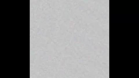 Charlotte online show from March 20, 3:17 pm