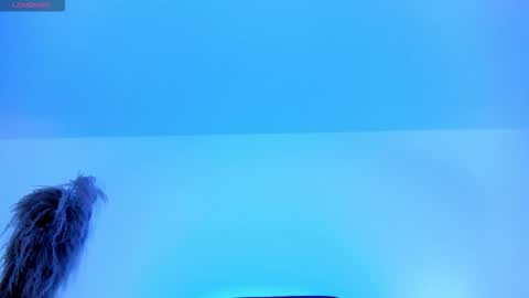 Charlotte  Everyday From 0700 to 1300 Col Time online show from October 12, 11:53 am