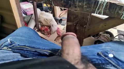 Parcero online show from September 9, 1:32 pm