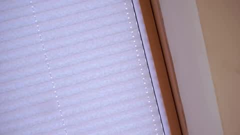 Sofia online show from April 21, 1:42 am