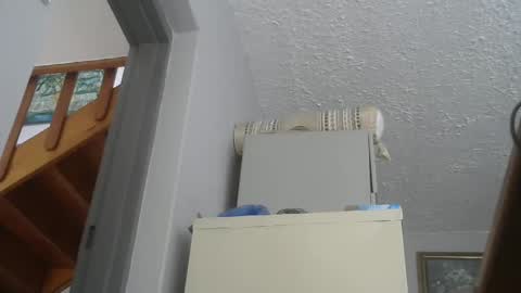 Snapshot of chaturbatordeluxe chatting on February 22, 2:52 pm chaturbatordeluxe online show from February 22, 2:52 pm